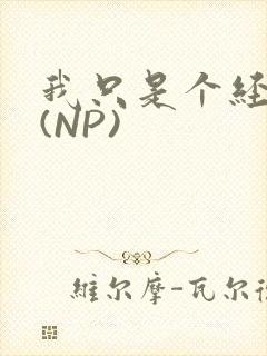 我只是个经纪人(NP)