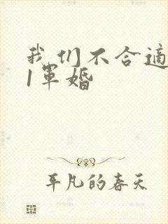 我们不合适1v1军婚
