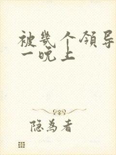 被几个领导玩弄一晚上