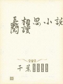 长相思小说免费阅读