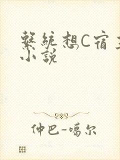 系统想C宿主的小说