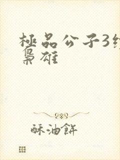 极品公子3续世枭雄