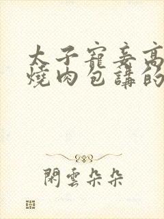 太子宠妾高肉红烧肉包讲的什么