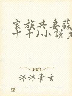 家族共妻苏苏(十千)小说免费