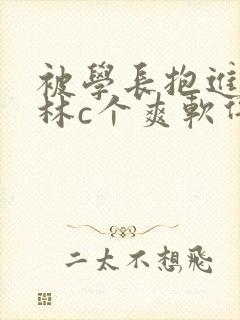 被学长抱进小树林c个爽软件