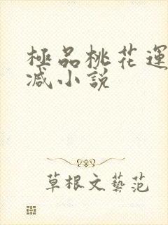 极品桃花运未删减小说