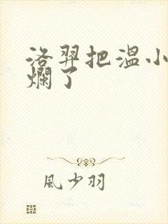 洛羿把温小辉做烂了