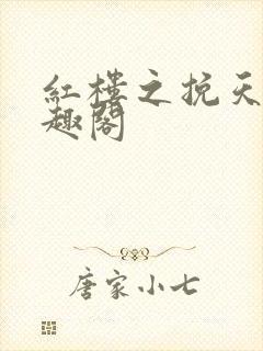 红楼之挽天倾笔趣阁