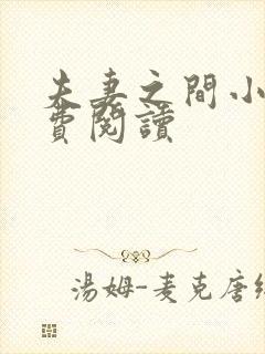 夫妻之间小说免费阅读