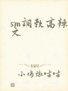 sm调教高辣h文