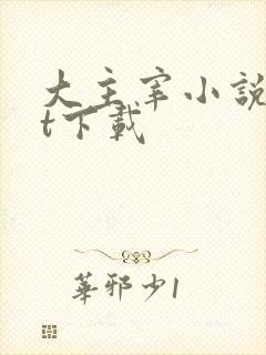 大主宰小说txt下载