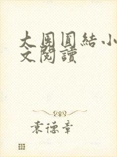大团圆结小茹全文阅读
