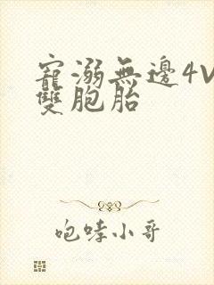 宠溺无边4V2双胞胎