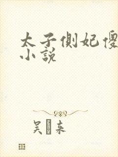 太子侧妃傻乎乎小说