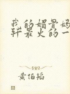 我的媚骨妈妈林轩最火的一句