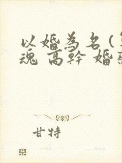 以婚为名 (军魂 高干 婚恋)
