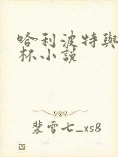 哈利波特与火焰杯小说