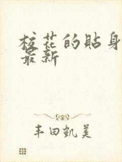 校花的贴身高手最新