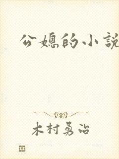 公媳的小说