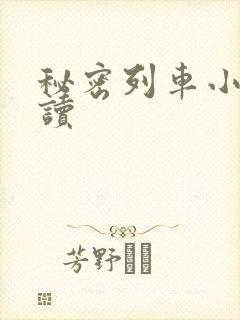 秘密列车小说阅读