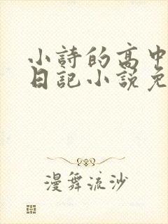 小诗的高中成长日记小说免费阅读