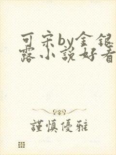 可宋by金银花露小说好看吗