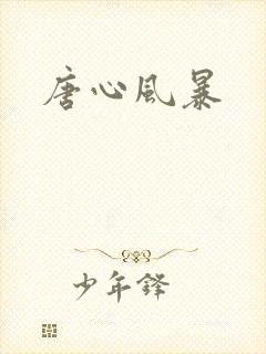 唐心风暴