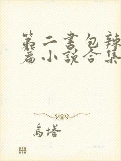 第二书包辣网短篇小说合集