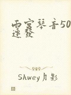 雨宫琴音500连发