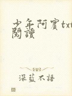 少年阿宾txt阅读