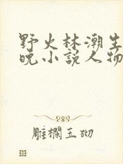 野火林潮生林晚晚小说人物野火