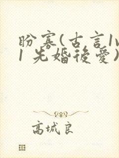 盼寡(古言1v1 先婚后爱)