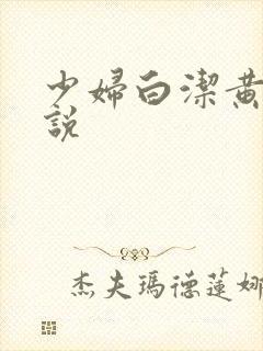 少妇白洁黄色小说