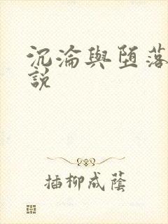 沉沦与堕落的小说