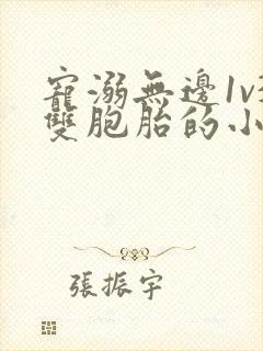 宠溺无边1v3双胞胎的小说