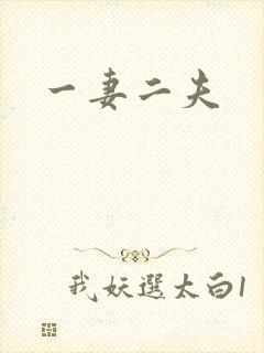 一妻二夫