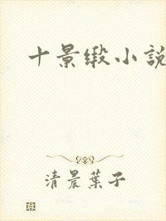 十景缎小说