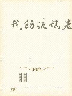 我的流氓老师