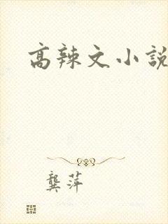 高辣文小说