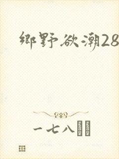乡野欲潮28章