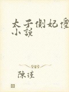 太子侧妃傻乎乎小说