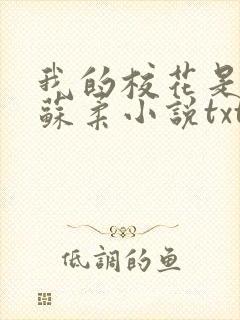 我的校花是福姬苏柔小说txt