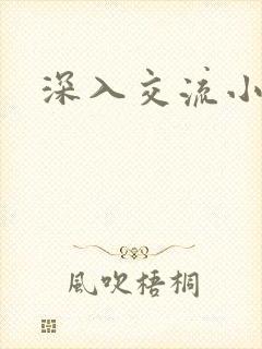 深入交流小说