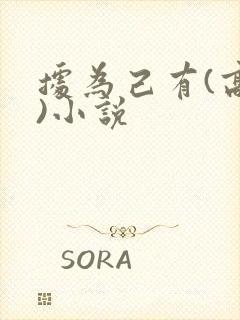 据为己有(高干)小说