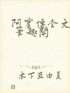 阿宾传全文阅读 笔趣阁