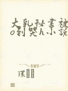 大乳秘书被cao到哭h小说