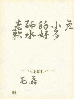 老师的小兔子好软水好多