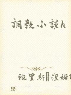 调教小说h