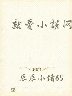 就爱小说网