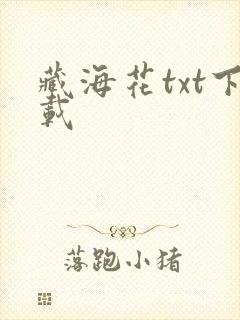 藏海花txt下载